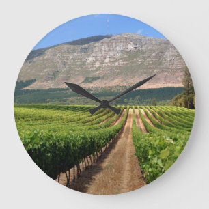 Vinodlingar av Groot Constantia Vin Gods Stor Klocka