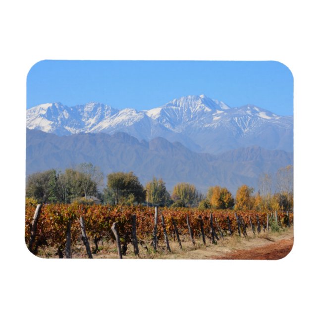 Vinodlingar i Mendoza, Argentina Magnet (Horisontell)