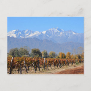 Vinodlingar i Mendoza, Argentina Vykort