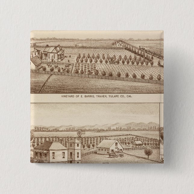 Vinodlingar, rancher, Tulare Co, Calif Knapp (Framsida)