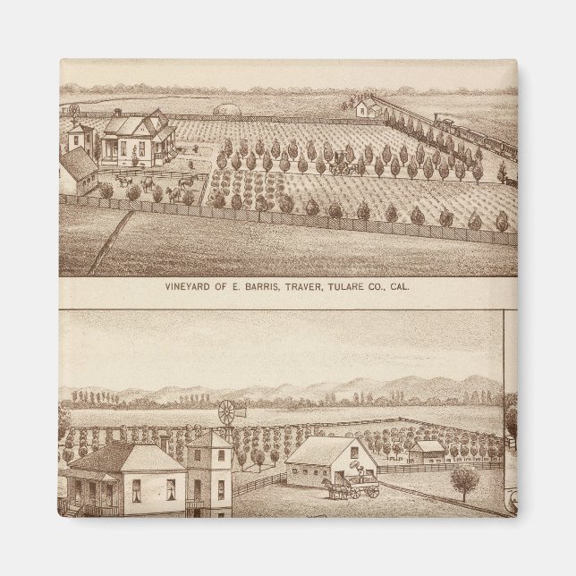 Vinodlingar, rancher, Tulare Co, Calif Magnet (Framsidan)