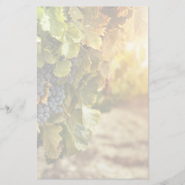 Vinodlingar vid solnedgång brevpapper (Framsida)