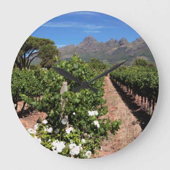 Vinodlingarna. Stellenbosch Stor Klocka (Framsida)