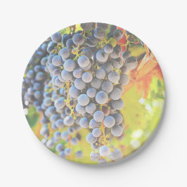 Vinodlingsdruvor Pappra Tallrikar