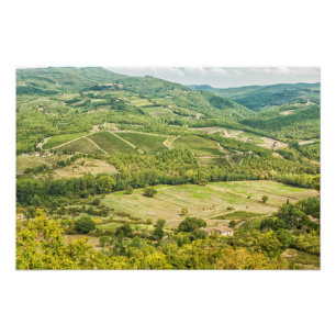 Vinodlingslandskap på morgonen i Chianti. Fototryck