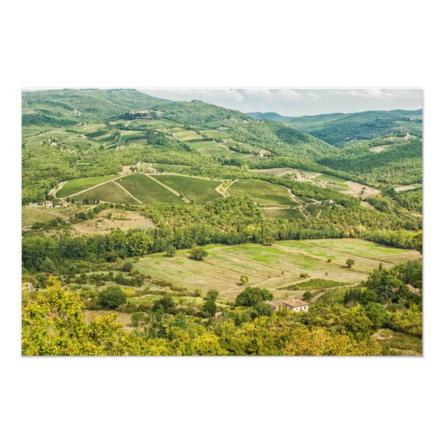 Vinodlingslandskap på morgonen i Chianti. Fototryck (Framsidan)