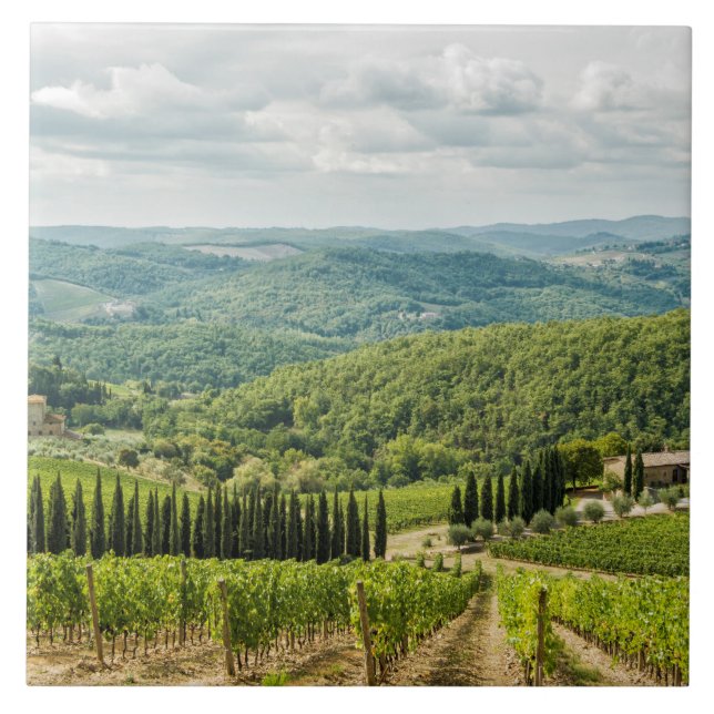Vinodlingslandskap på morgonen i Chianti. Kakelplatta (Framsidan)
