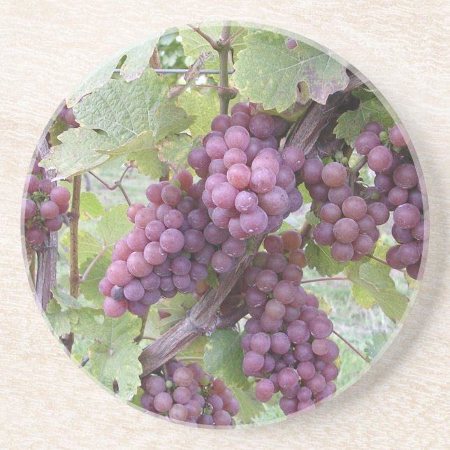 Vinrankakustfartyg Underlägg Sandsten (Framsidan)