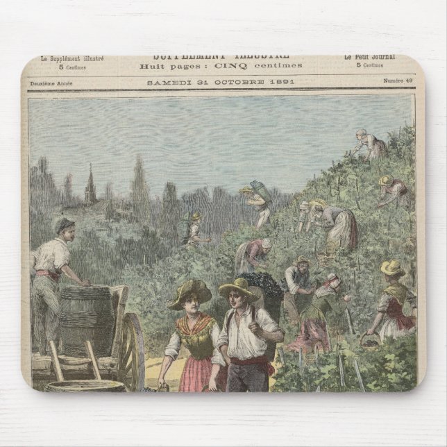 Vinskörden Musmatta (Framsidan)