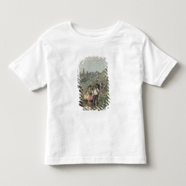 Vinskörden Tee (Framsida)