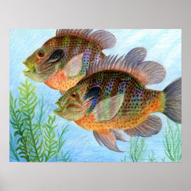 Vinster av E. Jiang - Klass 6 Poster (Framsidan)