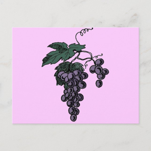Vinstockar - vykort (Framsida)