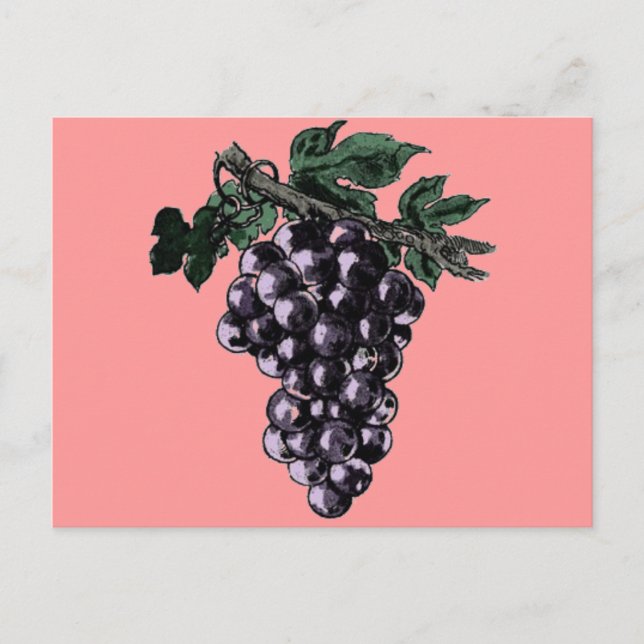 Vinstockar - vykort (Framsida)
