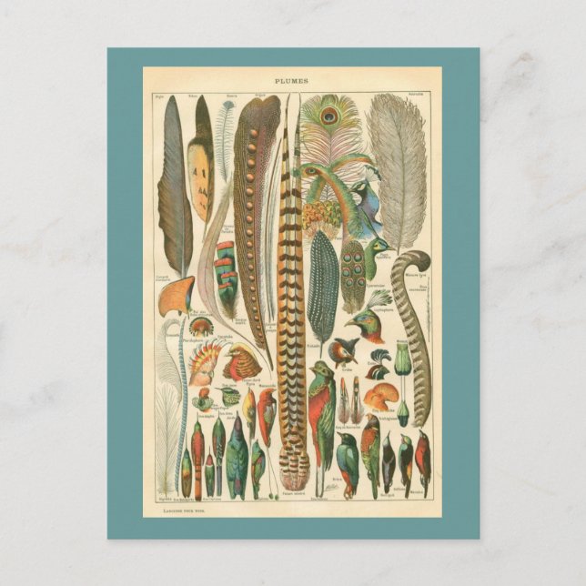 Vintagar Vykort (Framsida)