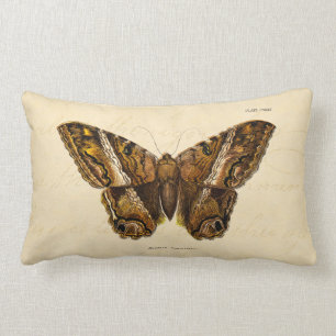 Vintage1800s bryner den luddiga malmallfjärilen lumbarkudde