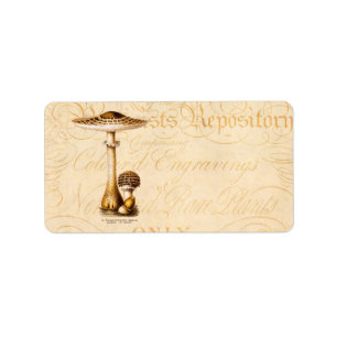 Vintage1800schampinjonen Agricus plocka svamp Adressetikett