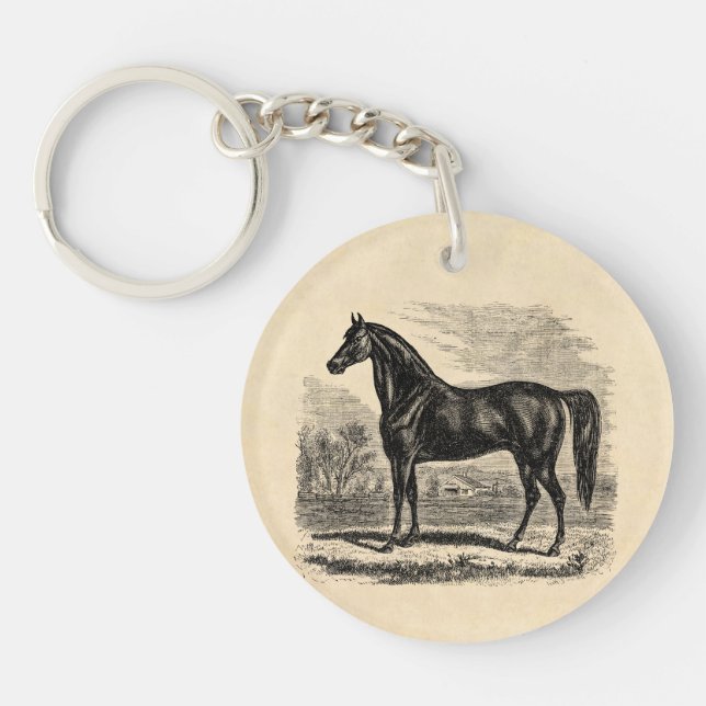 Vintage1800shäst - Morgan ryttaremall (Framsidan)