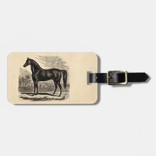 Vintage1800shäst - Morgan ryttaremall Bagagebricka (Horisontell Framsida)