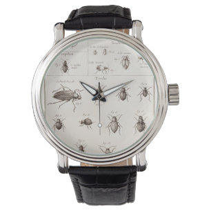 Vintage1800sinsekter buggar armbandsur