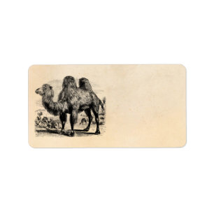 Vintage1800skamel - egyptisk kamelmall adressetikett