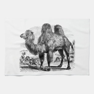 Vintage1800skamel - egyptisk kamelmall kökshandduk