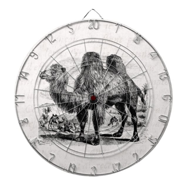Vintage1800skamel - egyptisk kamelmall piltavla (Framsidan)