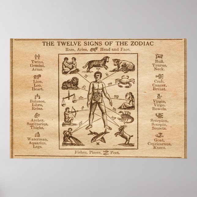 Vintage 12 Tecken på Zodiac Poster (Framsidan)