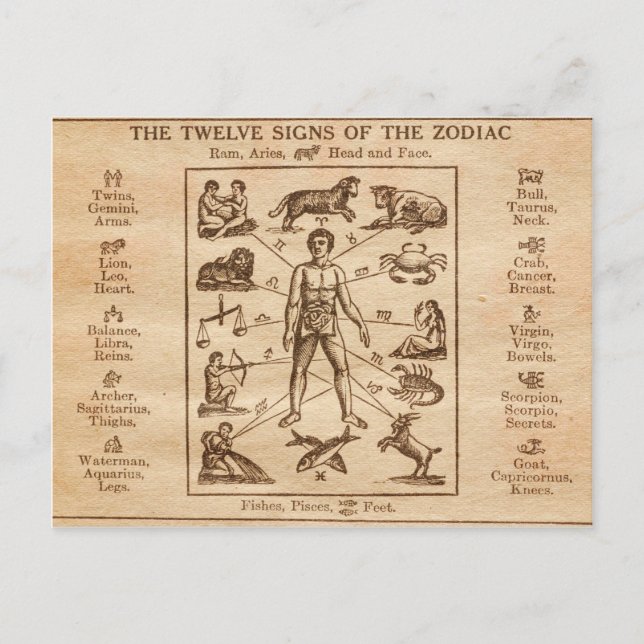 Vintage 12 Tecken på Zodiac Vykort (Framsida)