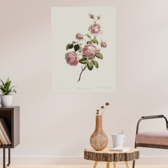 Vintage 1700-talsros poster (Vardagsrum 3)