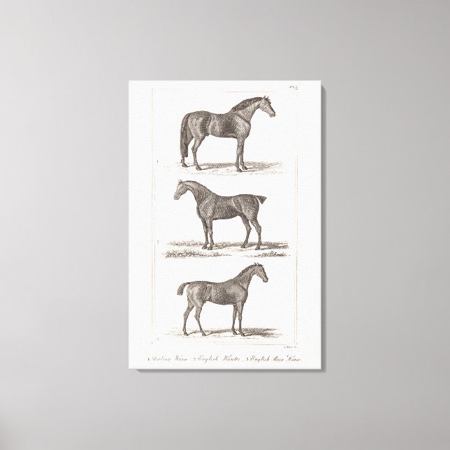 Vintage 1800-talet: Horse Old Reds Arabian Hunter  Canvastryck (Framsida)