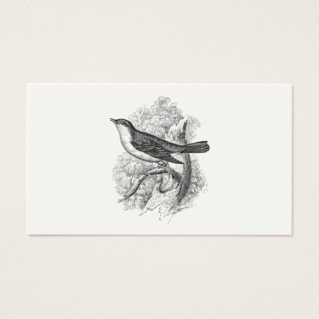 Vintage 1800-talet Nattingale Bird Illustration Bi Visitkort (Framsidan)