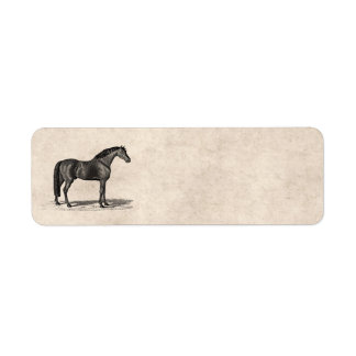 Vintage 1800-talets arabiska hästillustration - Hä Returadress Etikett
