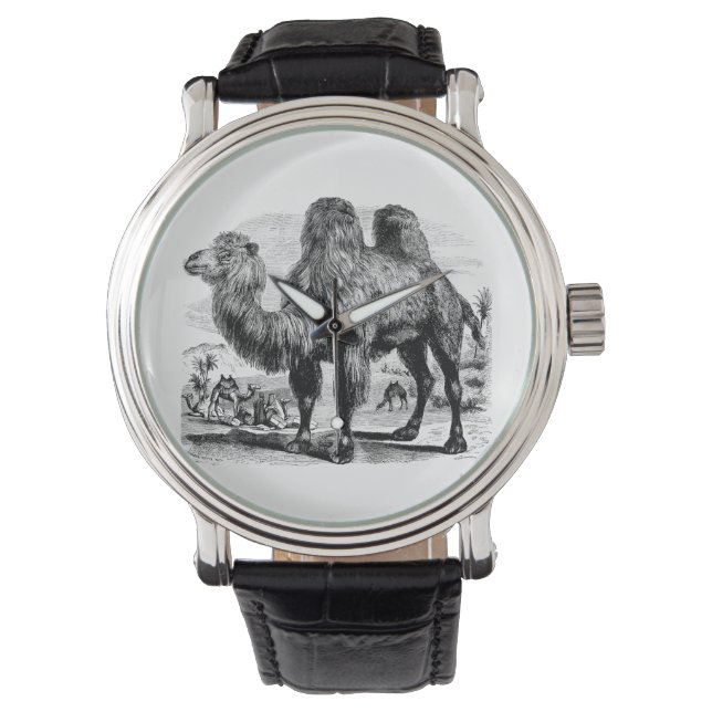 Vintage 1800-talets Camel - Egyptens Camels-mall Armbandsur (Framsida)