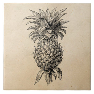 Vintage 1800s Ananas Illustration Ananas Kakelplatta