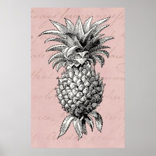 Vintage 1800s Ananas Rosa Poster