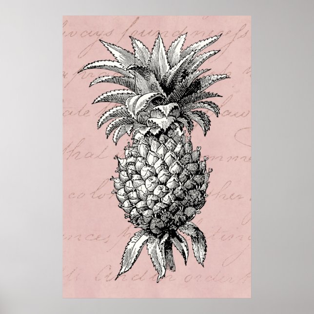 Vintage 1800s Ananas Rosa Poster (Framsidan)