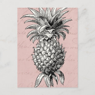 Vintage 1800s Ananas Rosa Vykort