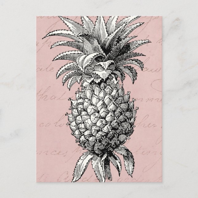 Vintage 1800s Ananas Rosa Vykort (Framsida)