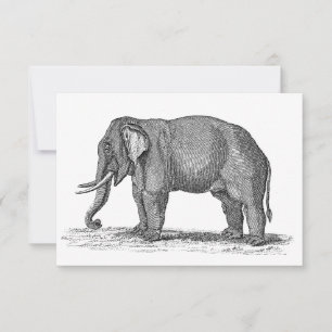 Vintage 1800s Elephant Illustration - Elefants