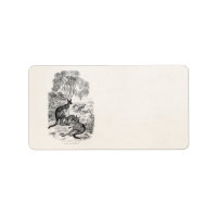 Vintage 1800s Giant Kangaroos Australian Kangaroo