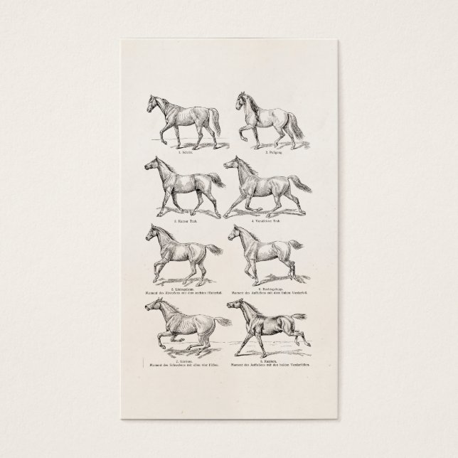 Vintage 1800s Hästfiskar Illustration Horses Visitkort (Framsidan)