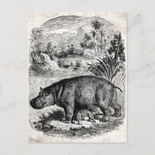 Vintage 1800s Hippo med Baby Retro Hippos-mall Vykort