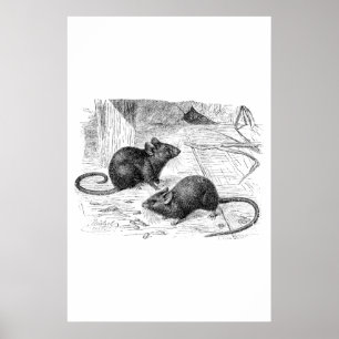 Vintage 1800s Illustration av Barn Mouse Retro Mic Poster