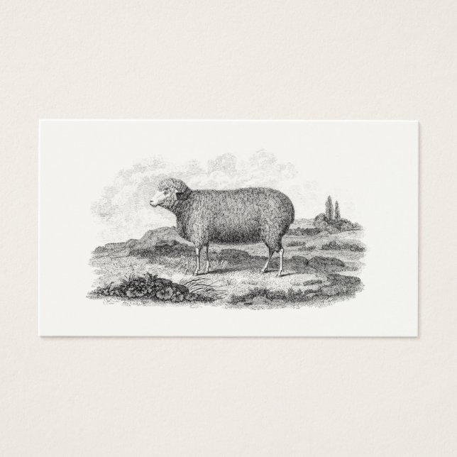 Vintage 1800s Merino Sheep Ewe Lamb-mall Visitkort (Framsidan)
