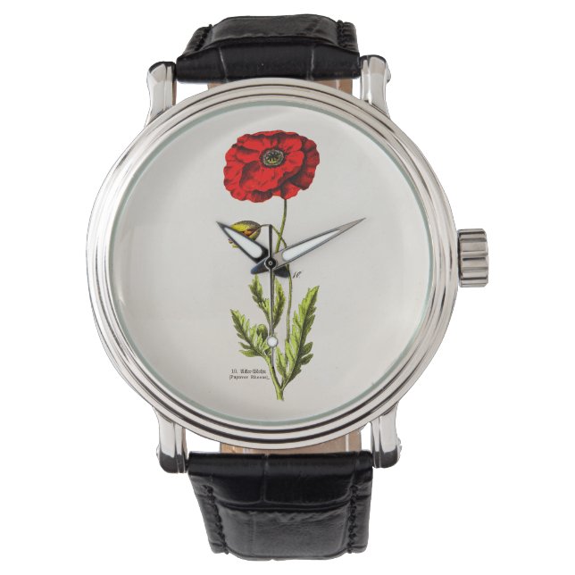 Vintage 1800s Red Poppy Vild Flower Blommigt Poppi Armbandsur (Framsida)