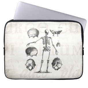 Vintage 1800s Skeleton Antique Anatomy Skeletons Laptop Fodral