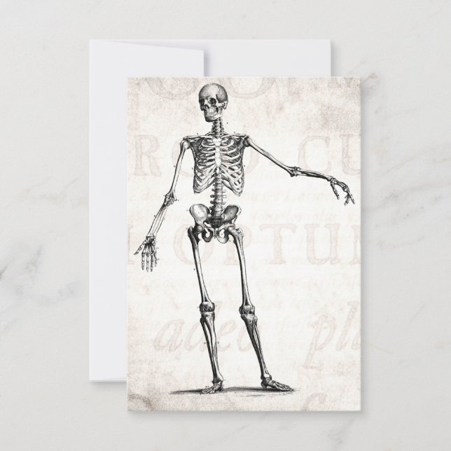 Vintage 1800s Skeleton Retro Skeletons anatomi (Framsida)