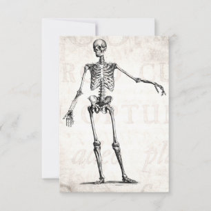 Vintage 1800s Skeleton Retro Skeletons anatomi