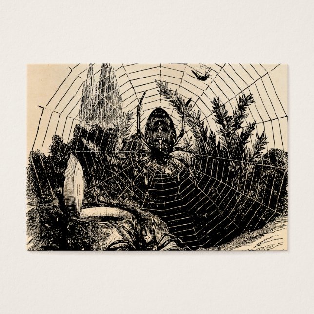 Vintage 1800s Spindelnät Illustration - Spiders Visitkort (Framsidan)