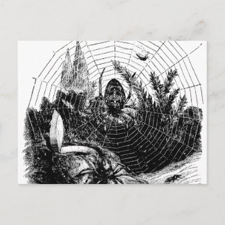 Vintage 1800s Spindelnät Illustration - Spiders Vykort
